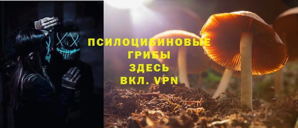 хмурый Каменка