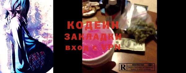 хмурый Каменка
