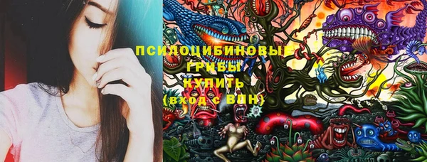 меф Каменногорск