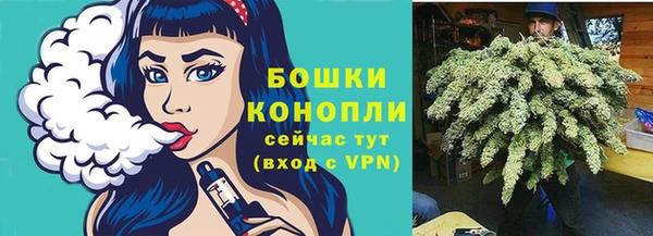 индика Калининец
