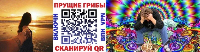 Псилоцибиновые грибы Cubensis  даркнет сайт  Пыталово 